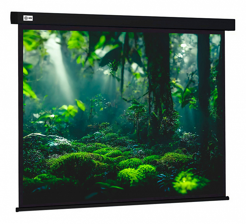 Экран Cactus 213x213см Wallscreen CS-PSW-213X213-BK 1:1 настенно-потолочный рулонный черный