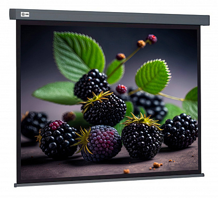 Экран Cactus 127x127см Wallscreen CS-PSW-127X127-SG 1:1 настенно-потолочный рулонный серый